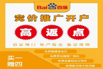 SEM精准广告投放的五大成功案例